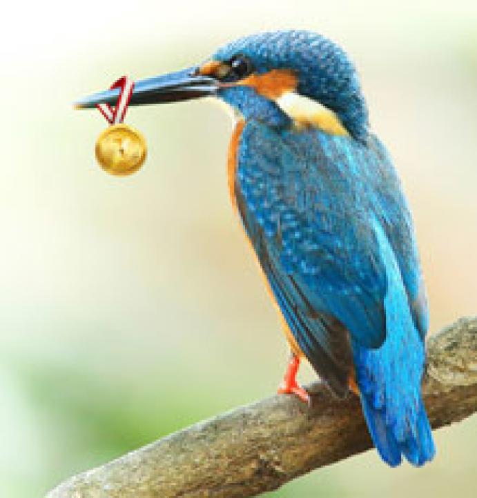 Mozaik tanulmányi verseny